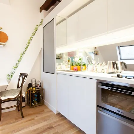 Apartment Design Studio With Mezzanine In Montmartre *